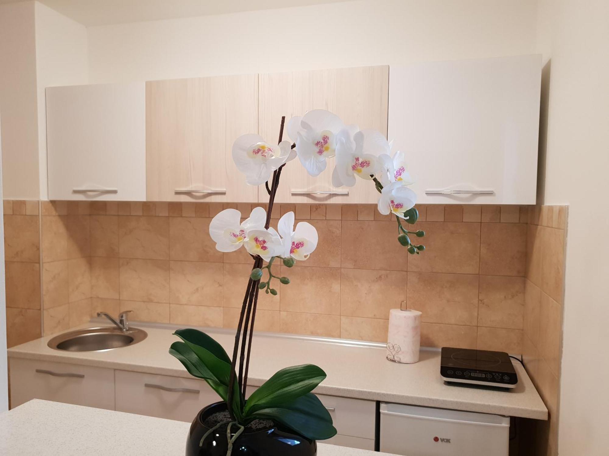 Apartman Kej Free Parking 크랄레보 외부 사진